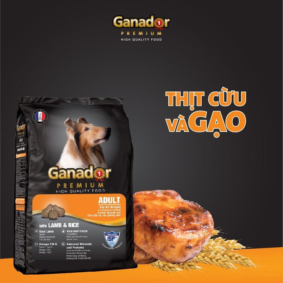 ganador-cuu-gao