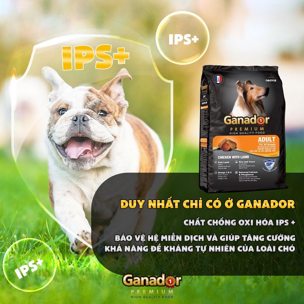 Hạt Ganador Adult Cho Chó Trưởng Thành Vị Cừu & Gạo - Paddy Pet Shop