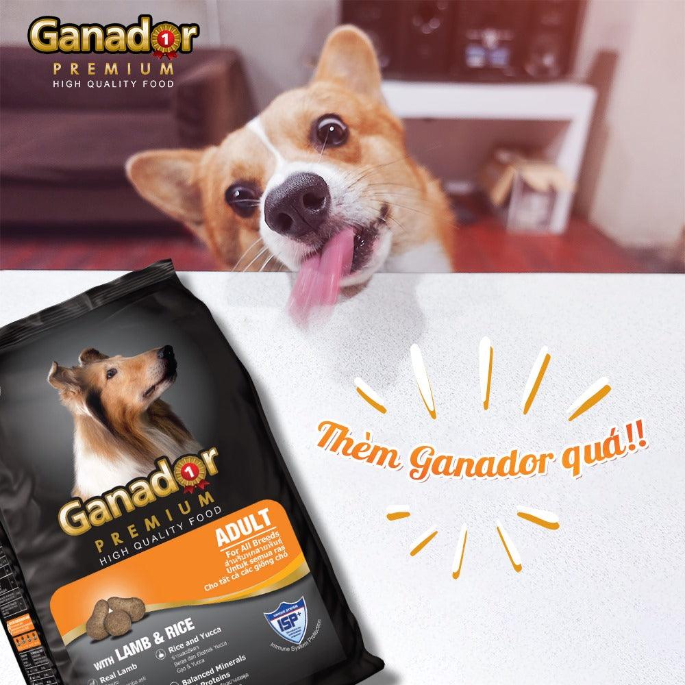 Hạt Ganador Adult Cho Chó Trưởng Thành Vị Cừu & Gạo - Paddy Pet Shop