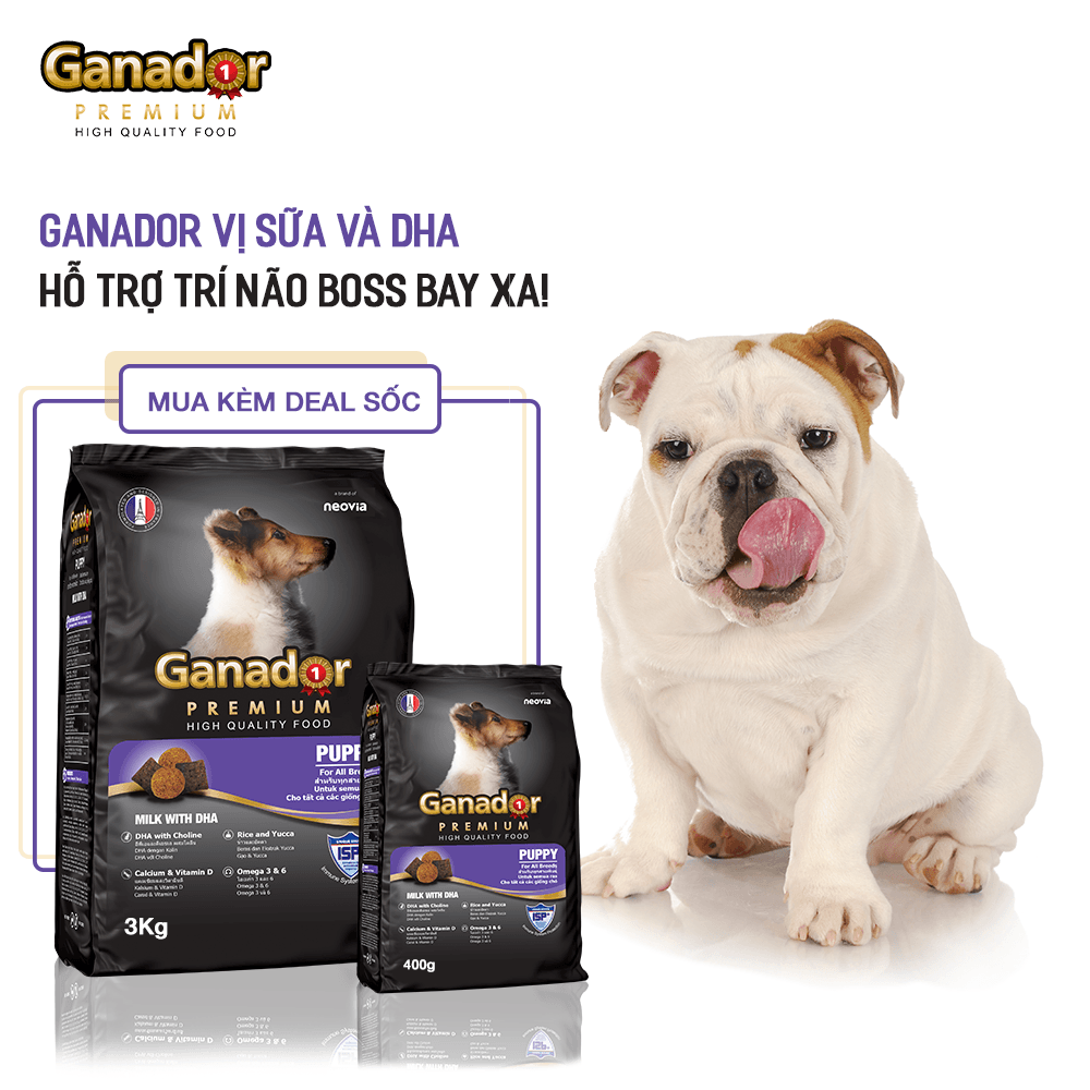 Hạt Ganador Puppy Cho Chó Con Vị Sữa & DHA - Paddy Pet Shop