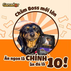 Hạt Ganador Puppy Cho Chó Con Vị Sữa & DHA - Paddy Pet Shop