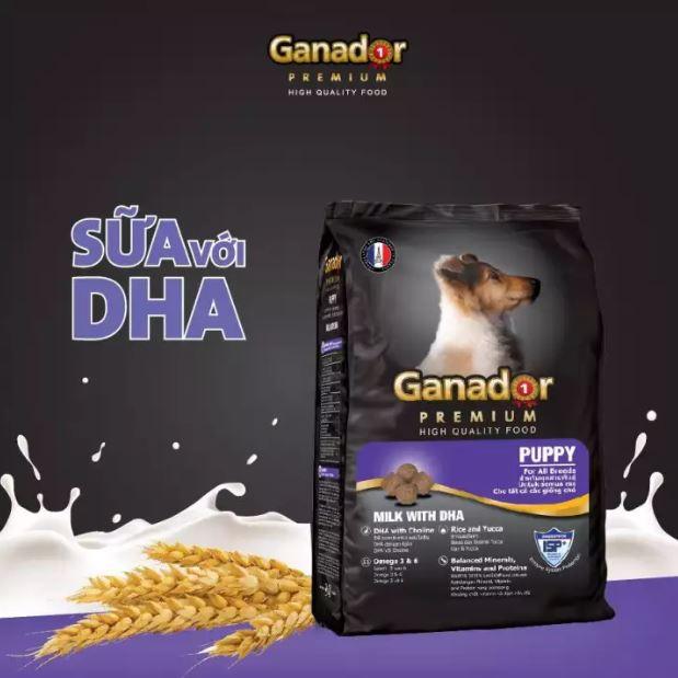 Hạt Ganador Puppy Cho Chó Con Vị Sữa & DHA - Paddy Pet Shop