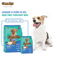 Hạt Ganador Puppy Chó Con Vị Trứng & Sữa - Paddy Pet Shop