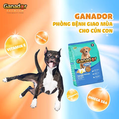 Hạt Ganador Puppy Chó Con Vị Trứng & Sữa - Paddy Pet Shop