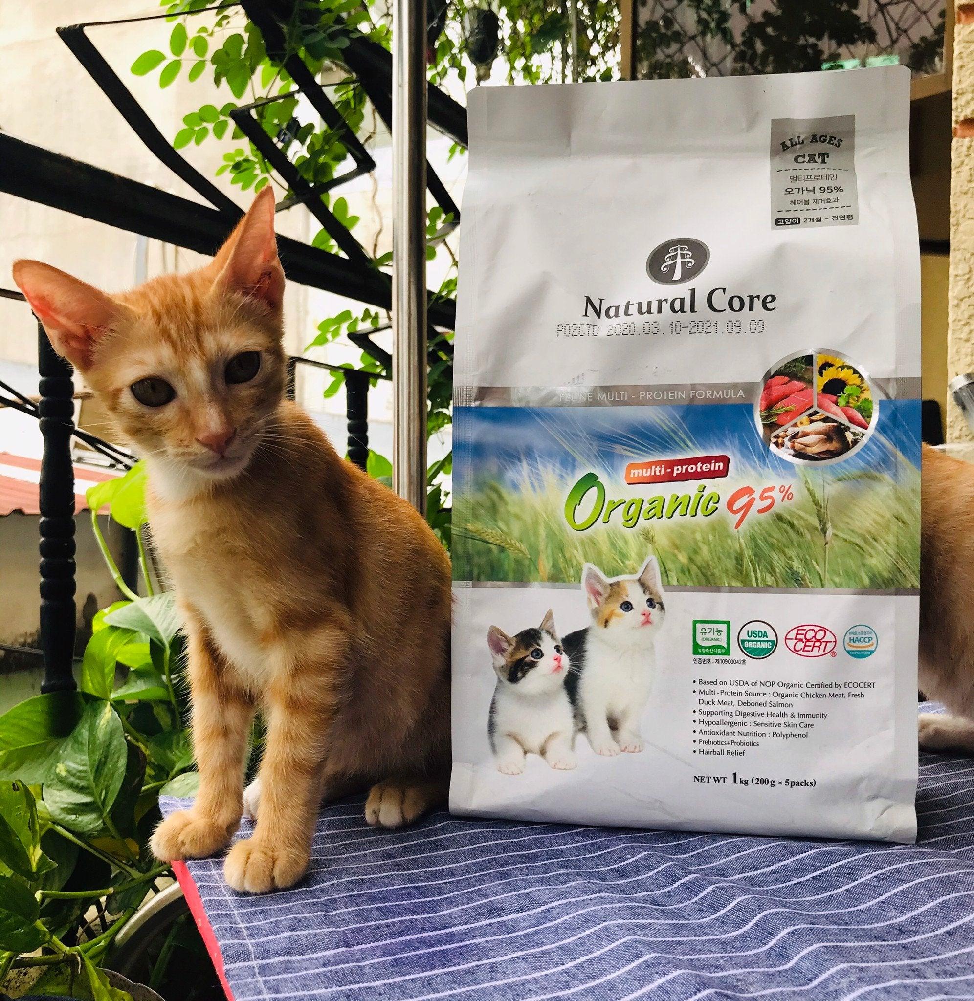 hat-huu-co-natural-core-95-cho-meo-moi-lua-tuoi-1kg