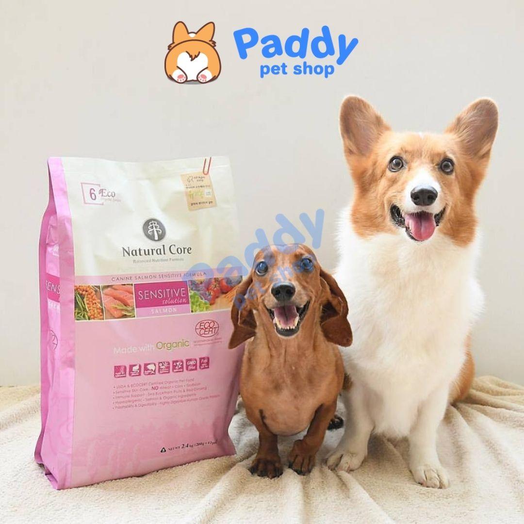 Thức Ăn Hạt Cho Chó Nhạy Cảm Hữu Cơ Natural Core ECO 6 Sensitive Cá Hồi - Paddy Pet Shop