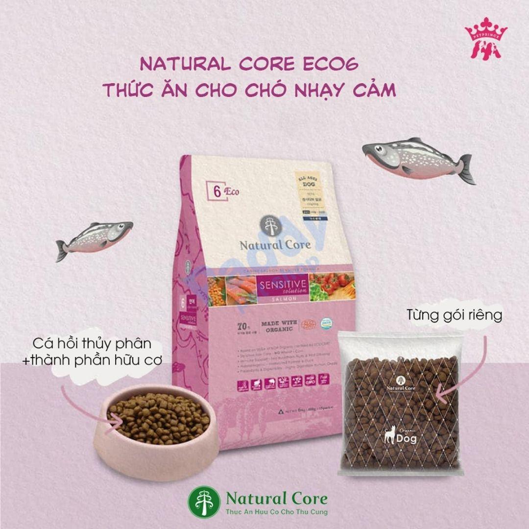 Thức Ăn Hạt Cho Chó Nhạy Cảm Hữu Cơ Natural Core ECO 6 Sensitive Cá Hồi - Paddy Pet Shop