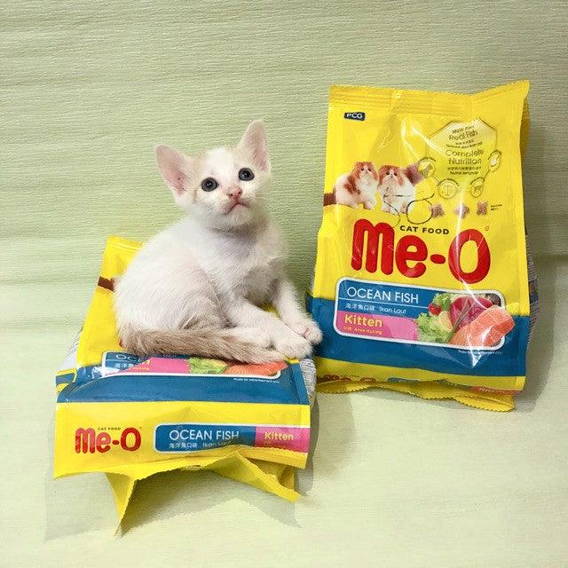 Hạt Cho Mèo Con Me-O Kitten Vị Cá Biển - Paddy Pet Shop