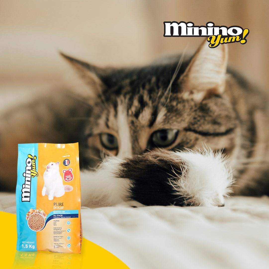 Hạt Cho Mèo Mọi Lứa Tuổi Minino YUM Vị Hải Sản - Paddy Pet Shop