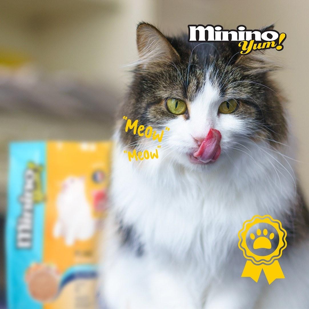 Hạt Cho Mèo Mọi Lứa Tuổi Minino YUM Vị Hải Sản - Paddy Pet Shop