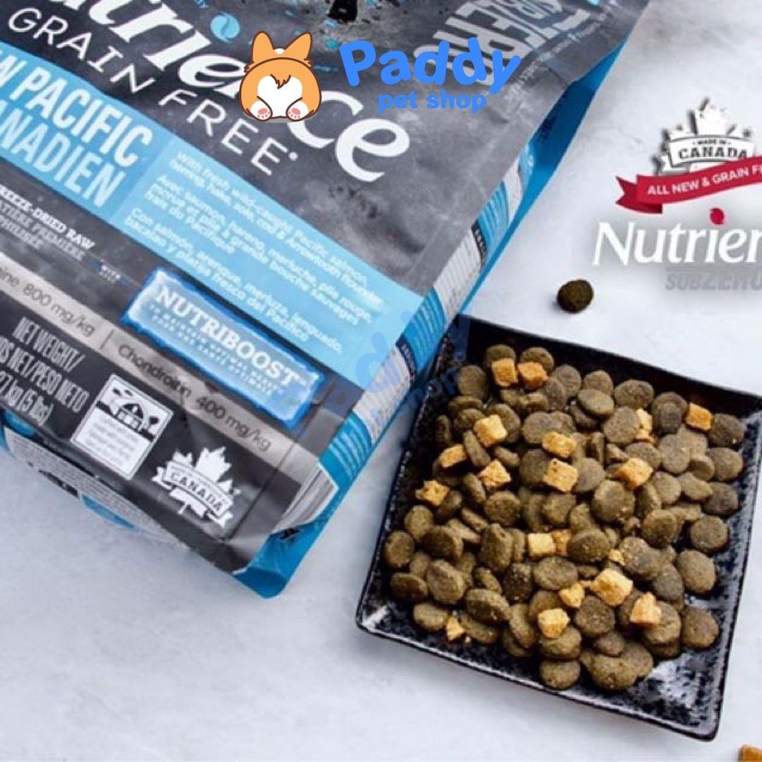 Hạt Nutrience SubZero Canadian Pacific Cho Mèo Mọi Lứa Tuổi Vị Cá Biển - Paddy Pet Shop