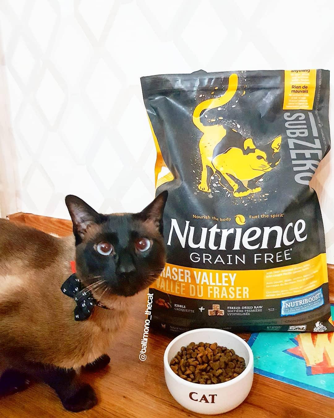 Hạt Cho Mèo Nutrience SubZero Fraser Valley Cat - Paddy Pet Shop