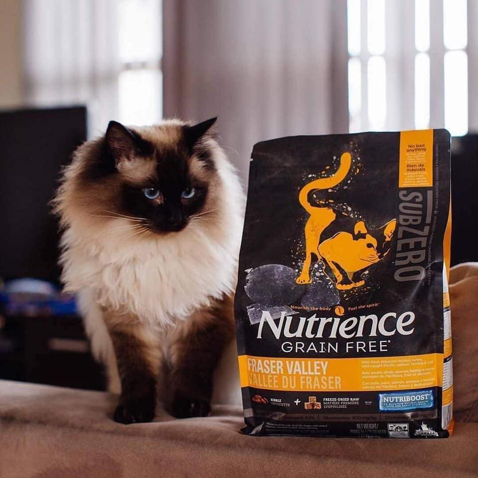 Hạt Cho Mèo Nutrience SubZero Fraser Valley Cat – Paddy Pet Shop