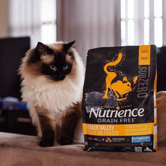 Hạt Cho Mèo Nutrience SubZero Fraser Valley Cat - Paddy Pet Shop