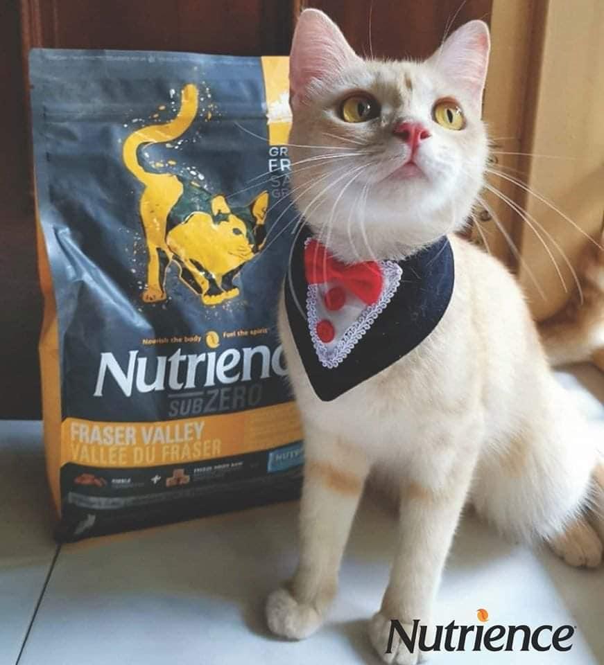 Hạt Cho Mèo Nutrience SubZero Fraser Valley Cat - Paddy Pet Shop