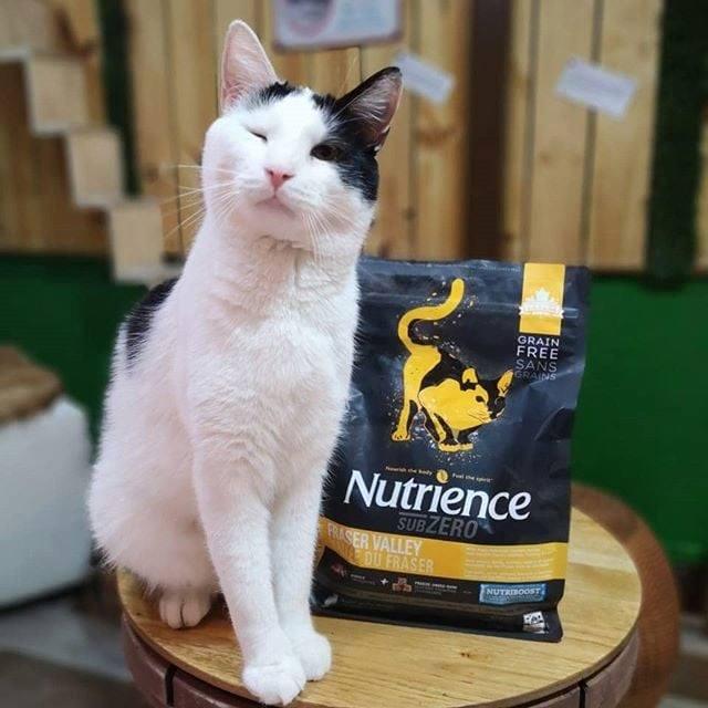 Hạt Cho Mèo Nutrience SubZero Fraser Valley Cat - Paddy Pet Shop