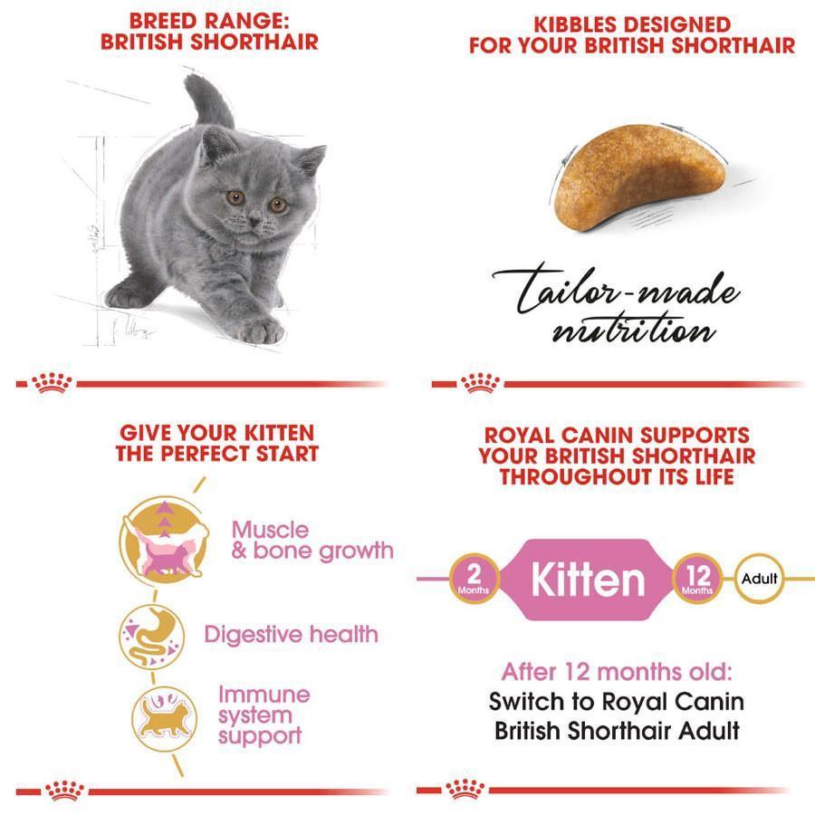 Thức Ăn Hạt Cho Mèo Con Anh Lông Ngắn Royal Canin British Shorthair Kitten - Paddy Pet Shop