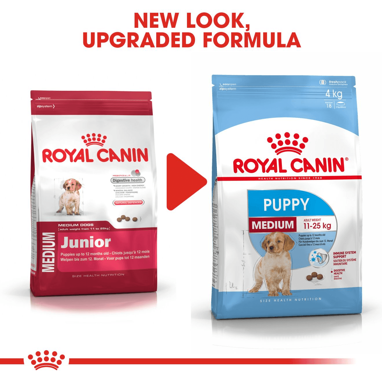 Thức Ăn Hạt Cho Chó Con Giống Vừa Royal Canin Medium Puppy - Paddy Pet Shop