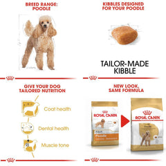 Thức Ăn Hạt Cho Chó Poodle Trưởng Thành Royal Canin Poodle Adult - Paddy Pet Shop
