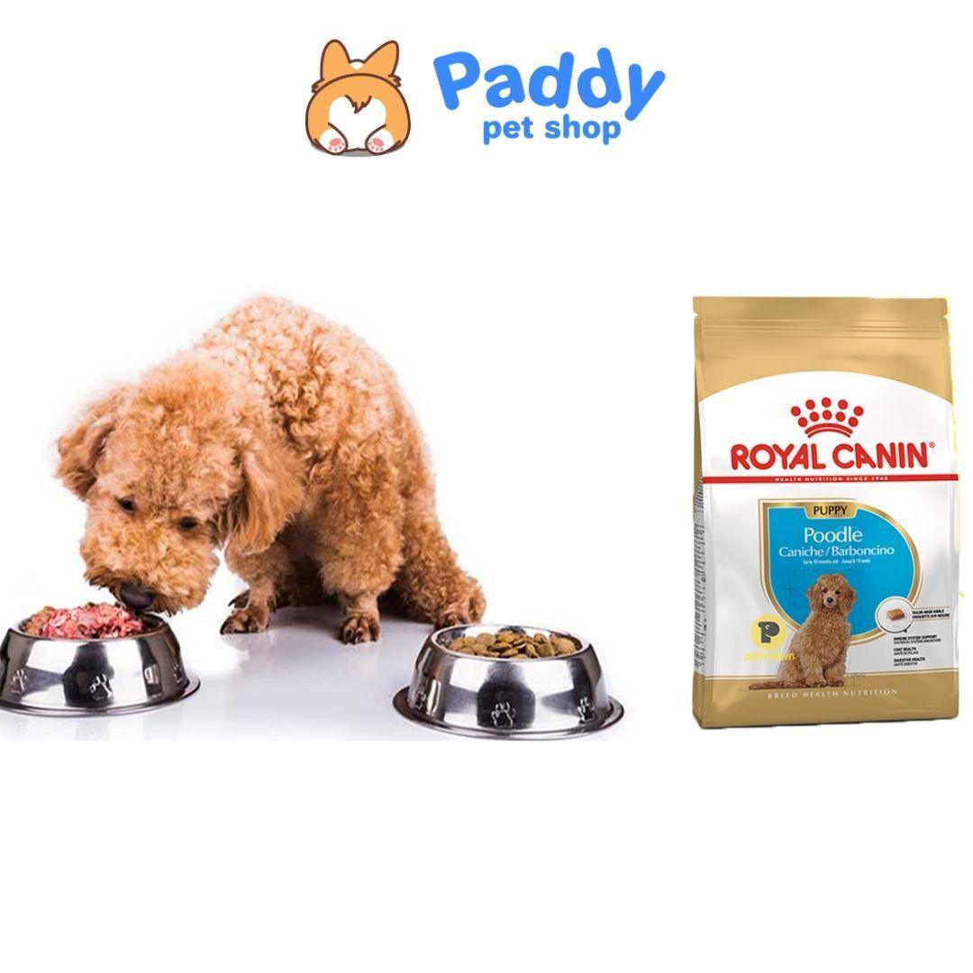Thức Ăn Hạt Cho Chó Con Poodle Royal Canin Poodle Puppy - Paddy Pet Shop