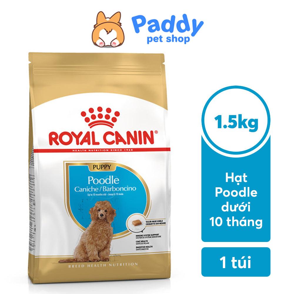Thức Ăn Cho Chó Poodle 4 Tháng Tuổi: Lựa Chọn Tốt Nhất Cho Thú Cưng Của Bạn
