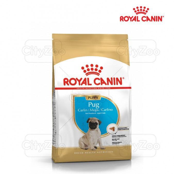 Thức Ăn Hạt Cho Chó Pug Con Royal Canin Pug Puppy - Paddy Pet Shop