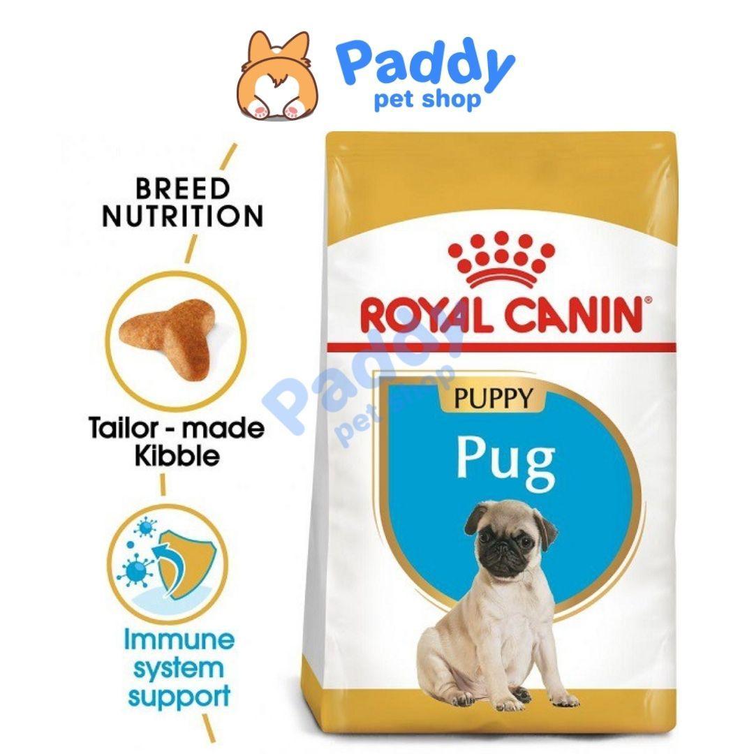 Thức Ăn Hạt Cho Chó Pug Con Royal Canin Pug Puppy - Paddy Pet Shop