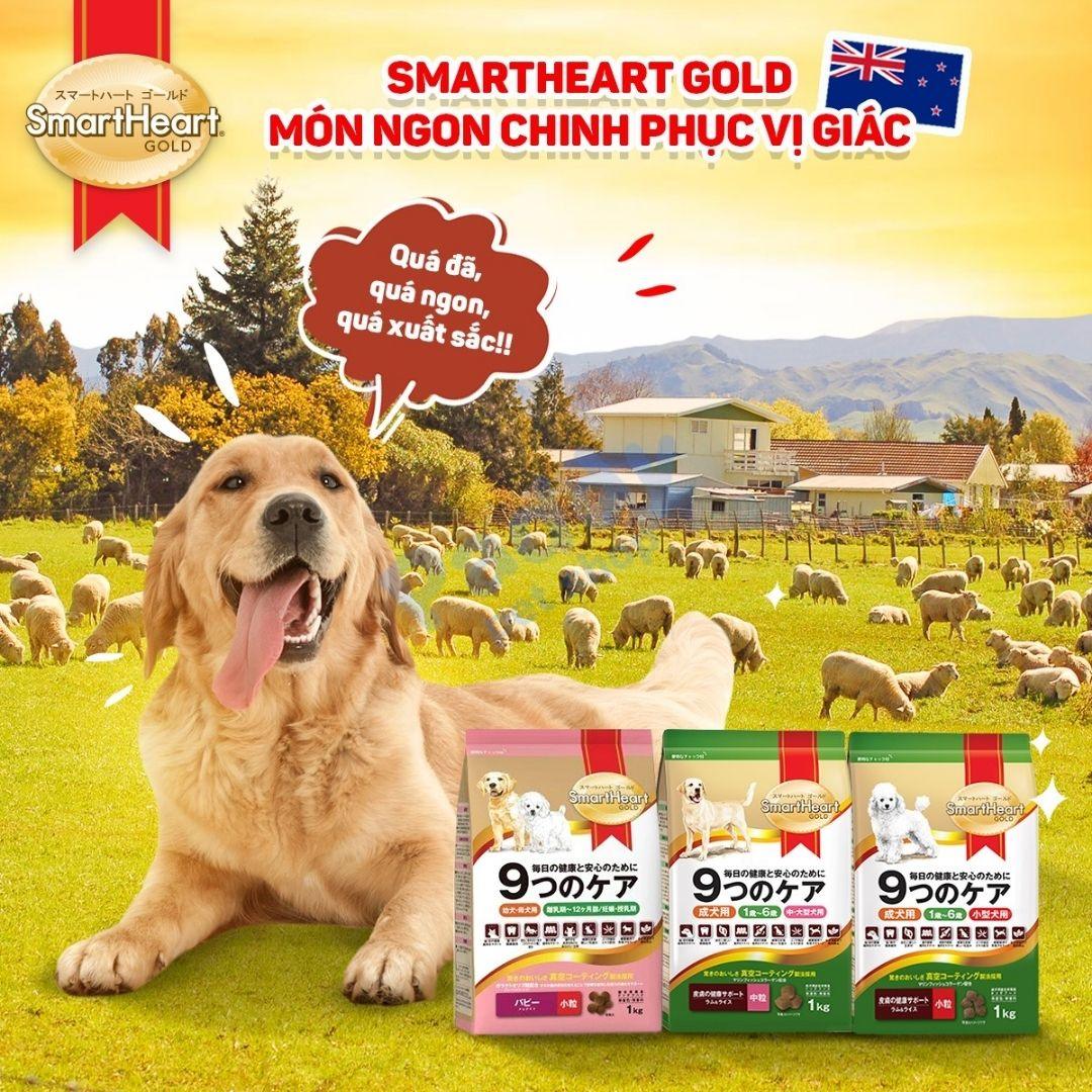 Hạt Cho Chó Trưởng Thành SmartHeart Gold Cao Cấp Vị Cừu & Gạo - Paddy Pet Shop