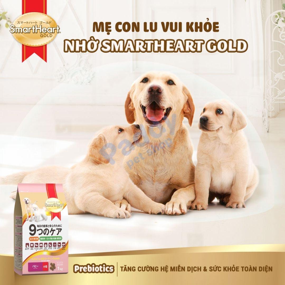 Hạt Cho Chó Con SmartHeart Gold Puppy Cao Cấp Vị Cừu & Gạo 1kg - Paddy Pet Shop