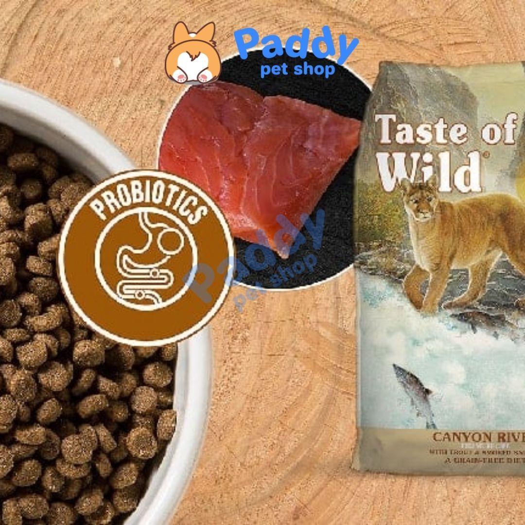 Hạt Tươi Taste Of The Wild Cho Mèo Canyon Vị Cá Hồi - Paddy Pet Shop