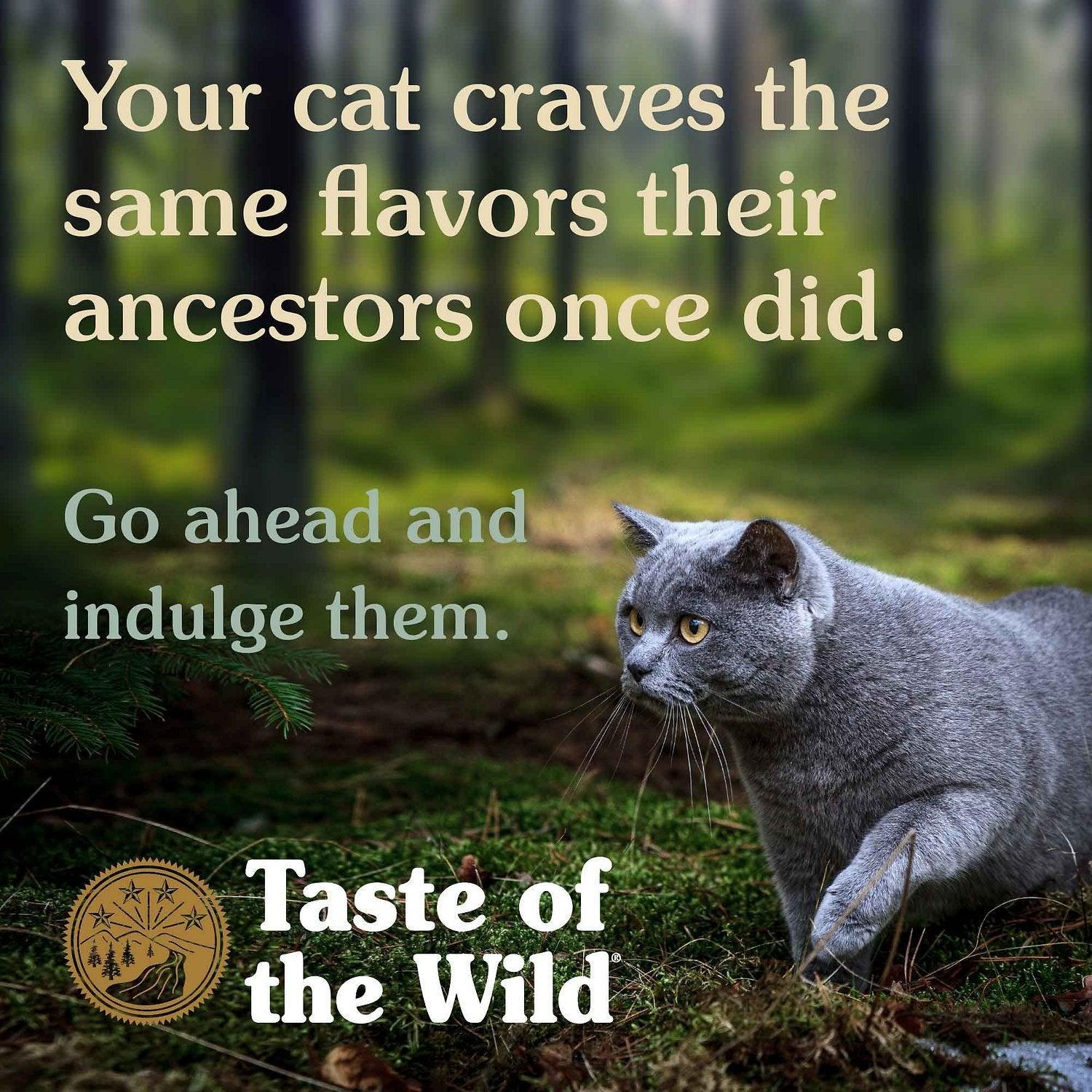 Hạt Tươi Taste Of The Wild Cho Mèo Canyon Vị Cá Hồi - Paddy Pet Shop