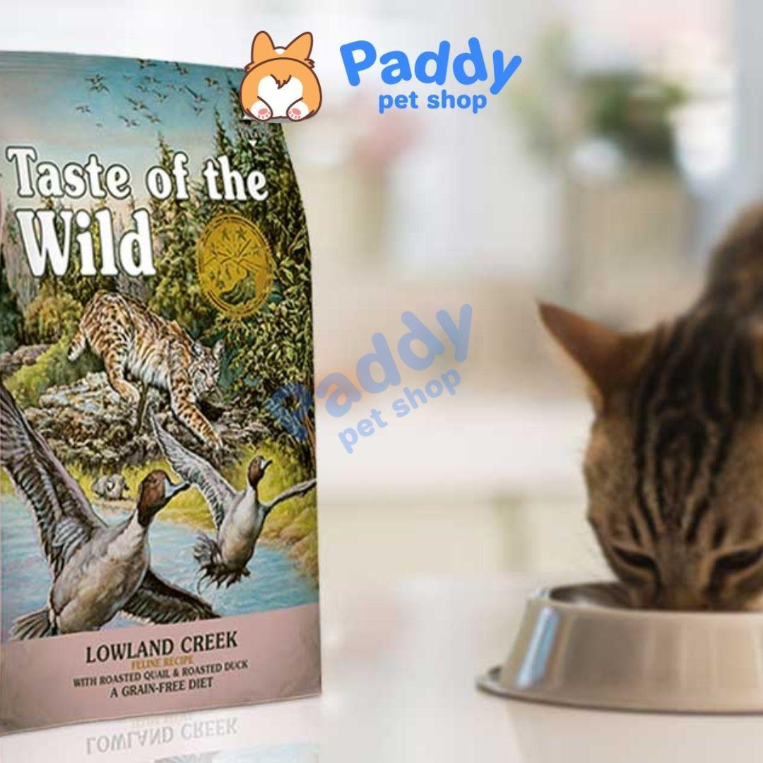 Hạt Tươi Taste Of The Wild Cho Mèo Lowland Vị Chim Cút & Vit - Paddy Pet Shop