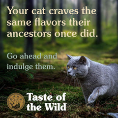 Hạt Tươi Taste Of The Wild Cho Mèo Rocky Vị Nai & Cá hồi - Paddy Pet Shop