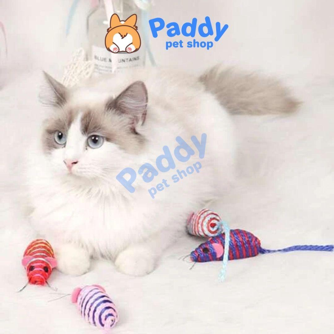 Hộp 6 Chuột Mini CattyMan Đồ Chơi Cho Mèo - Paddy Pet Shop