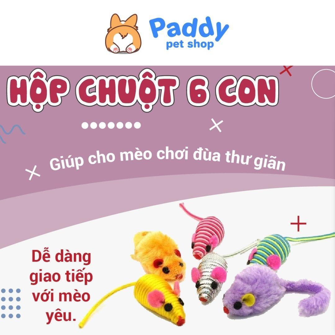 Hộp 6 Chuột Mini CattyMan Đồ Chơi Cho Mèo - Paddy Pet Shop