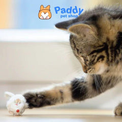 Hộp 6 Chuột Mini CattyMan Đồ Chơi Cho Mèo - Paddy Pet Shop