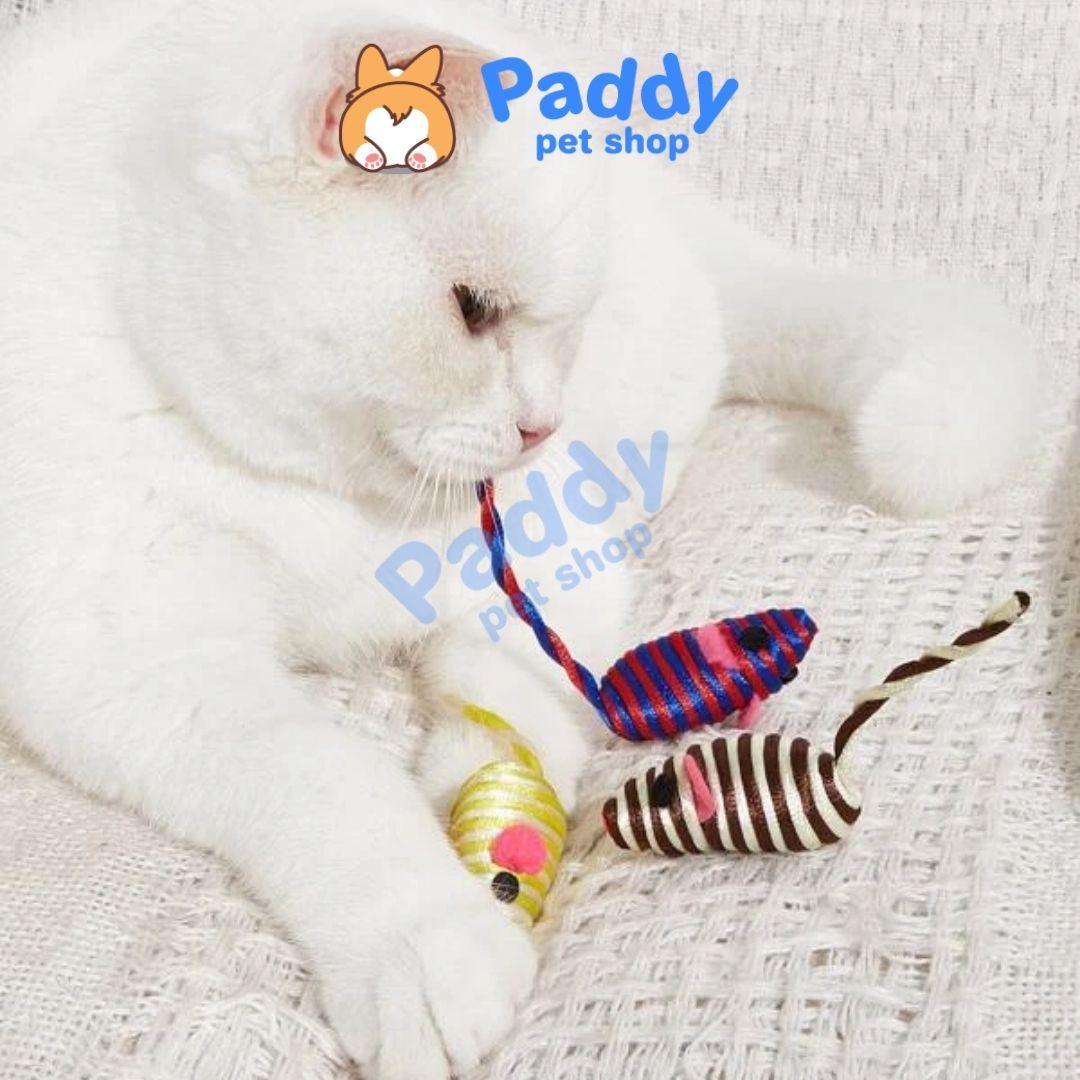 Hộp 6 Chuột Mini CattyMan Đồ Chơi Cho Mèo - Paddy Pet Shop