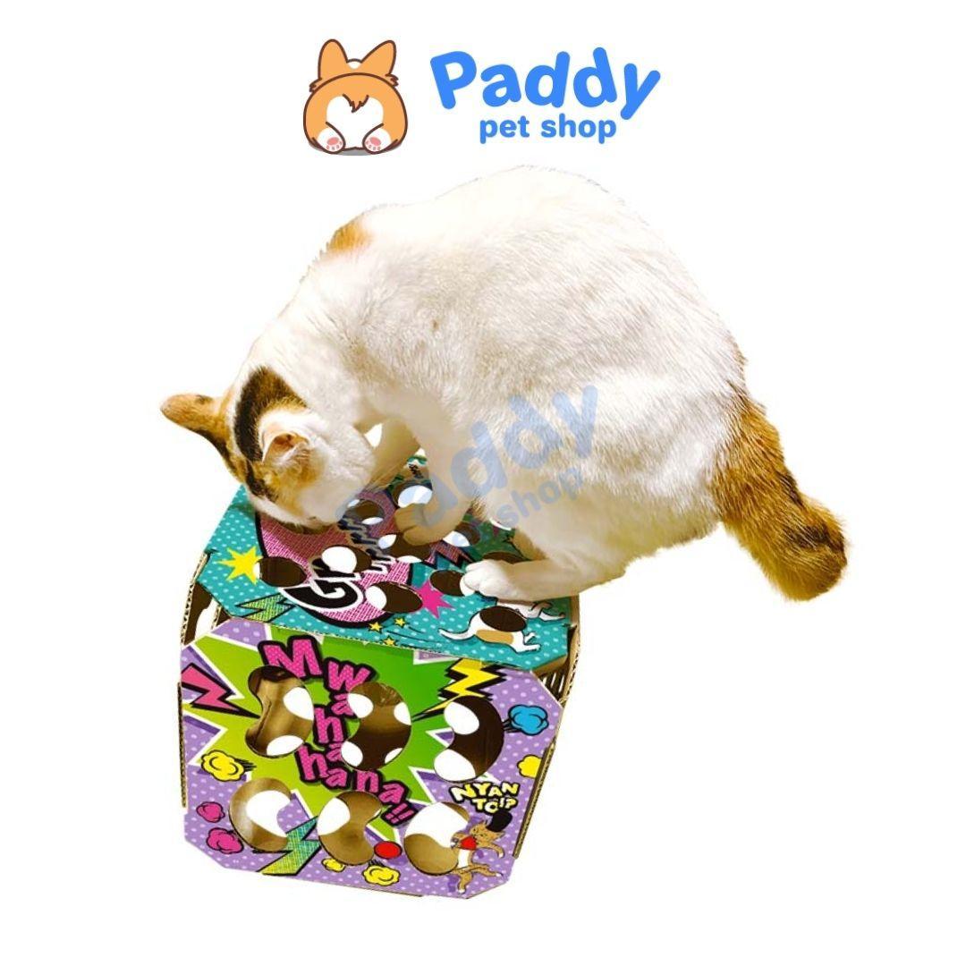 Đồ Chơi Mèo Hộp Xí Ngầu Giấy CattyMan 25x25cm - Paddy Pet Shop