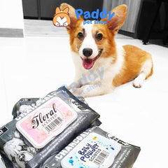 Khăn Giấy Ướt Kháng Khuẩn, Tắm Khô Cho Chó Absorb Plus (80 Miếng) - Paddy Pet Shop