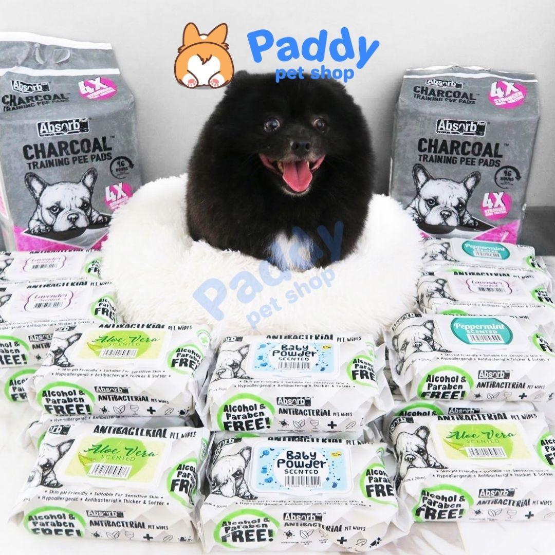 Khăn Giấy Ướt Kháng Khuẩn, Tắm Khô Cho Chó Absorb Plus (80 Miếng) - Paddy Pet Shop