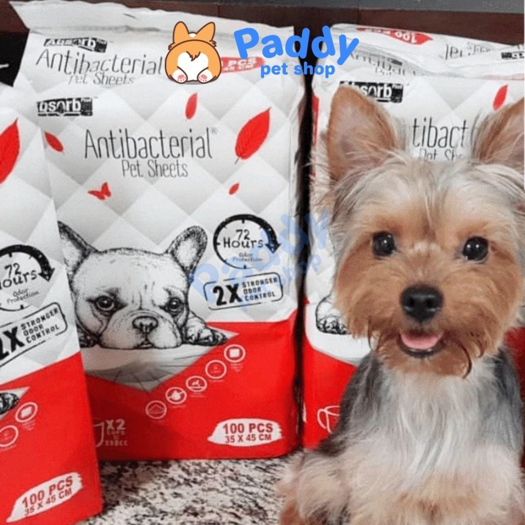 Lót Chuồng Absorb Plus Diệt Khuẩn & Thấm Hút Gấp 2 Lần Cho Chó Mèo - Paddy Pet Shop