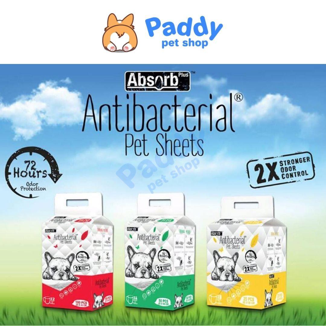 Lót Chuồng Absorb Plus Diệt Khuẩn & Thấm Hút Gấp 2 Lần Cho Chó Mèo - Paddy Pet Shop