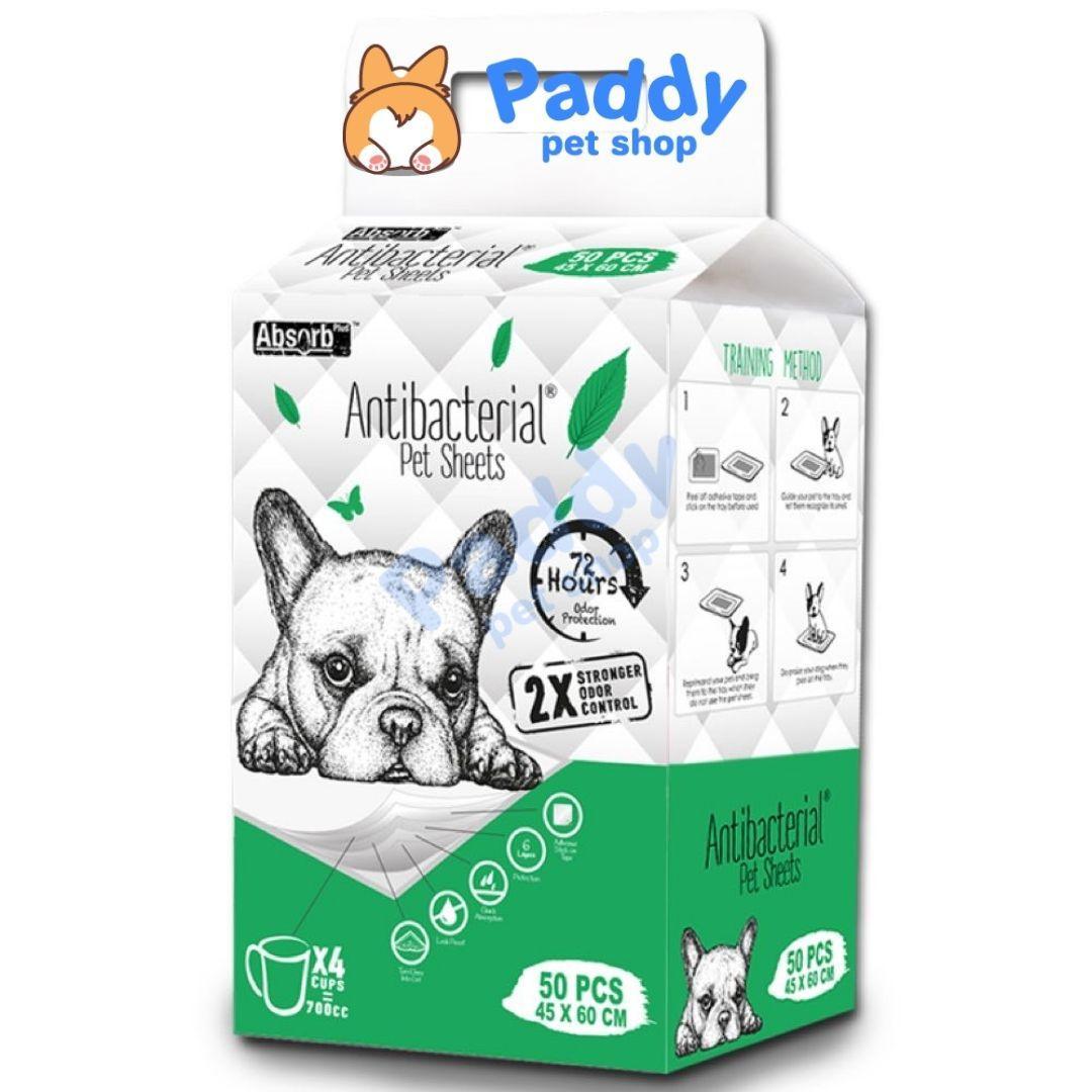 Lót Chuồng Absorb Plus Diệt Khuẩn & Thấm Hút Gấp 2 Lần Cho Chó Mèo - Paddy Pet Shop
