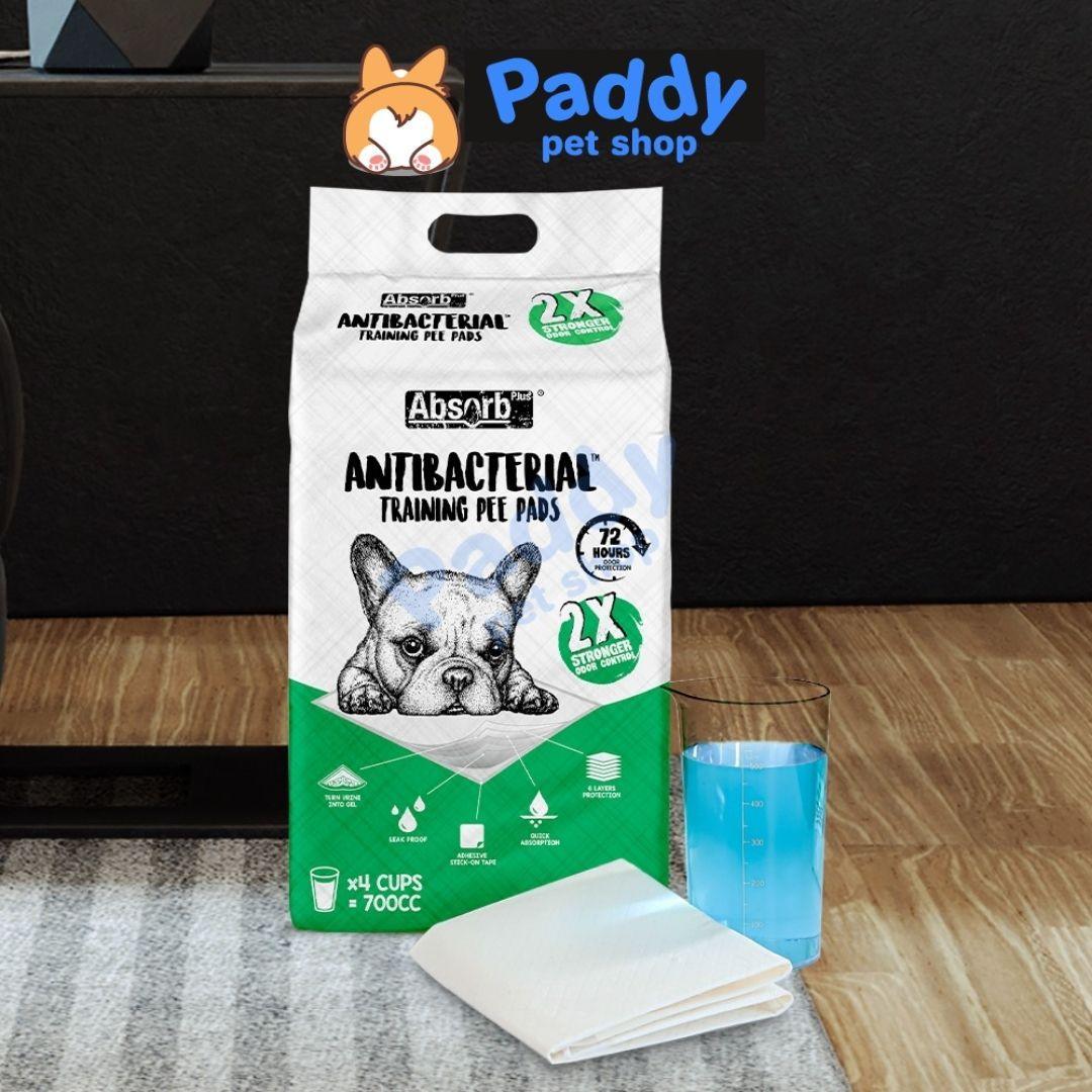 Lót Chuồng Absorb Plus Diệt Khuẩn & Thấm Hút Gấp 2 Lần Cho Chó Mèo - Paddy Pet Shop