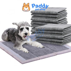 Lót Chuồng Chó Mèo Than Hoạt Tính ZenPet - Paddy Pet Shop