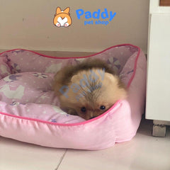 Nệm Vuông Cho Chó Mèo DoggyMan Vải Lạnh Hạ Nhiệt - Paddy Pet Shop