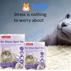 Nhỏ Gáy Giảm Stress Cho MÈO Thư Giãn Beaphar Calming - Paddy Pet Shop