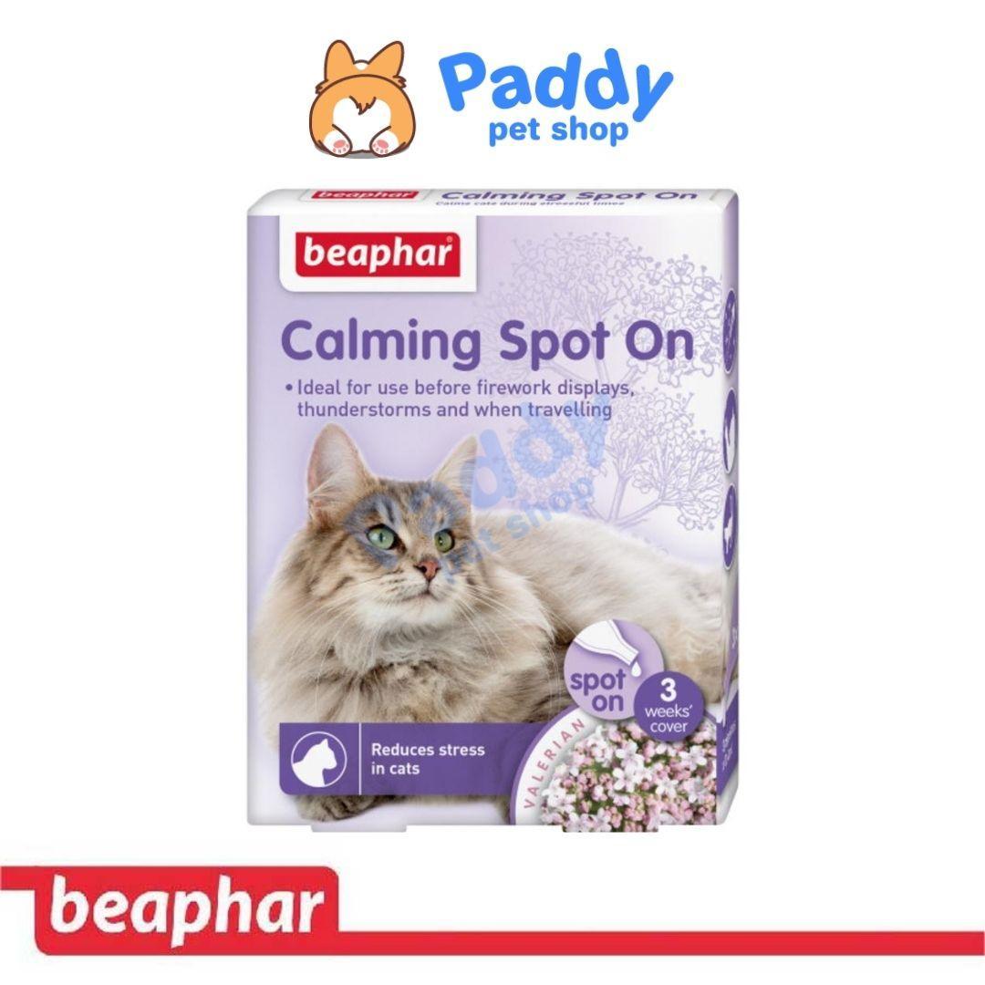 Nhỏ Gáy Giảm Stress Cho MÈO Thư Giãn Beaphar Calming - Paddy Pet Shop