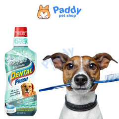 Nước Uống Dental Fresh Thơm Miệng Giảm Mảng Bám Cho Chó 237ml - Paddy Pet Shop