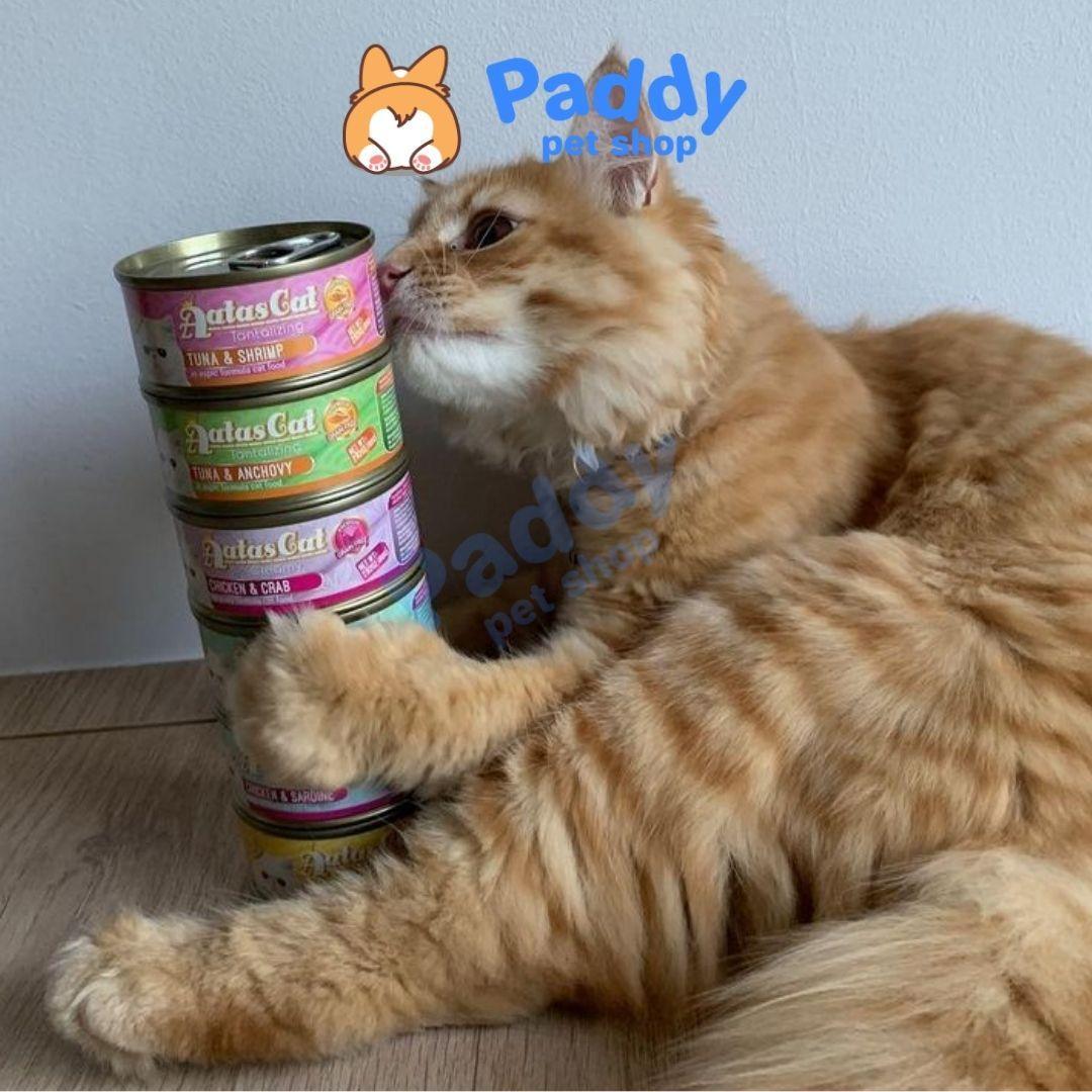 Pate AATAS Cho Mèo Mọi Lứa Tuổi (Lon nhỏ 80g) - Paddy Pet Shop